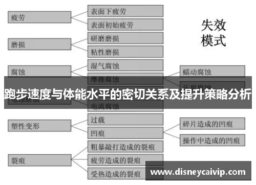 跑步速度与体能水平的密切关系及提升策略分析