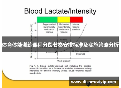 体育体能训练课程分段节奏安排标准及实施策略分析